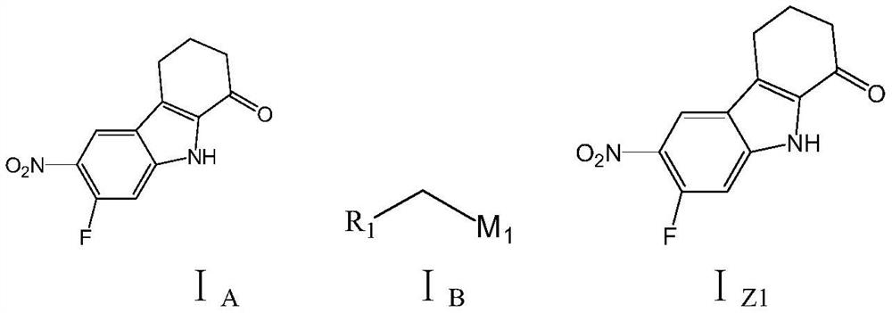 Tetrahydrocarbazole derivative as well as preparation method and application thereof