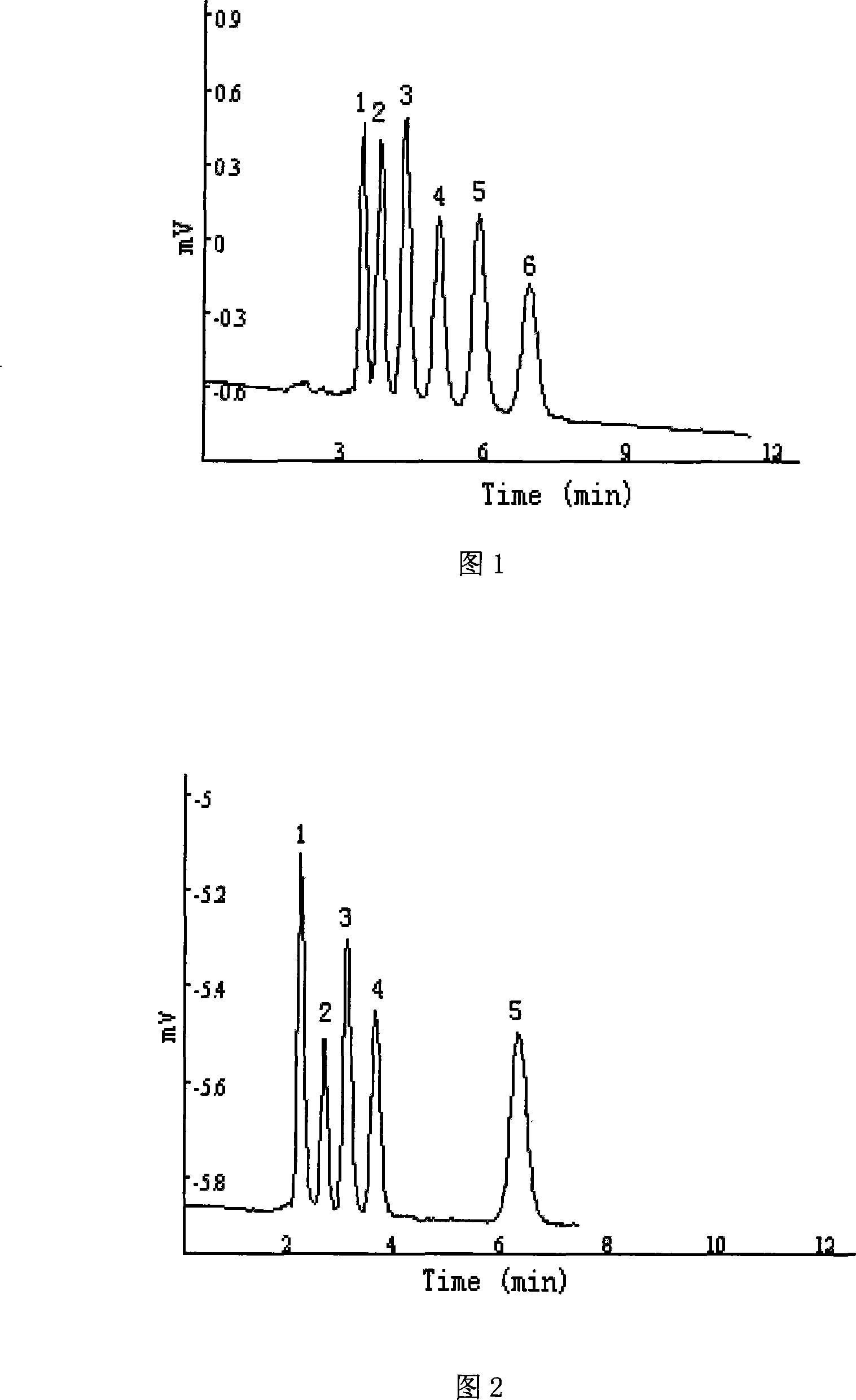 Raw material prescription of opposite phase anion exchange electric chromatograph integral column and preparation thereof