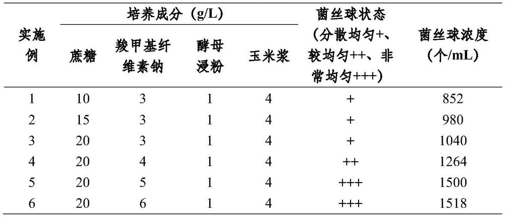 Factory phallus impudicus liquid strain and preparation method thereof