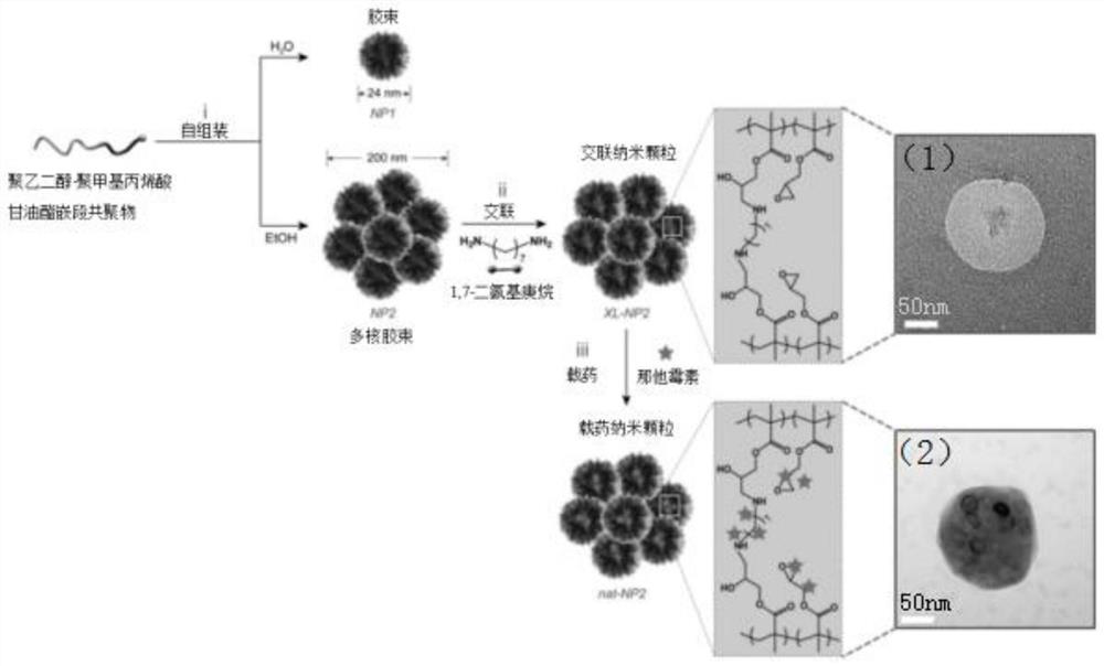 A kind of natamycin polymer micelle eye drop and preparation method thereof