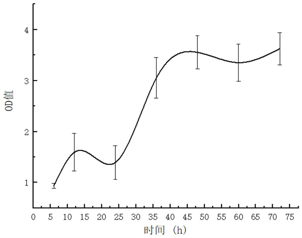 A nucleic acid aptamer h7 capable of targeting and inhibiting Vibrio anguillarum and its application