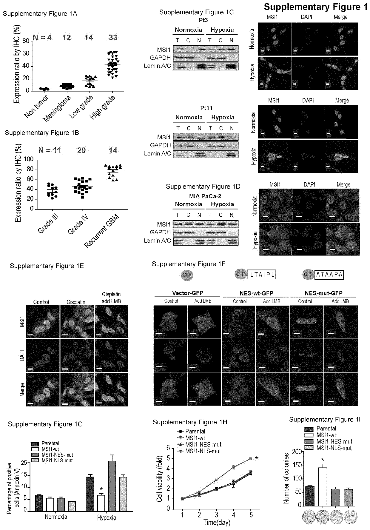 Method for blocking stress-induced tumor progression