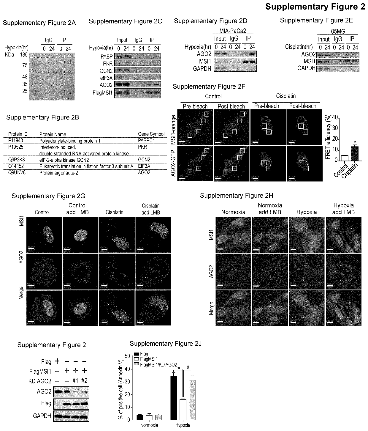 Method for blocking stress-induced tumor progression