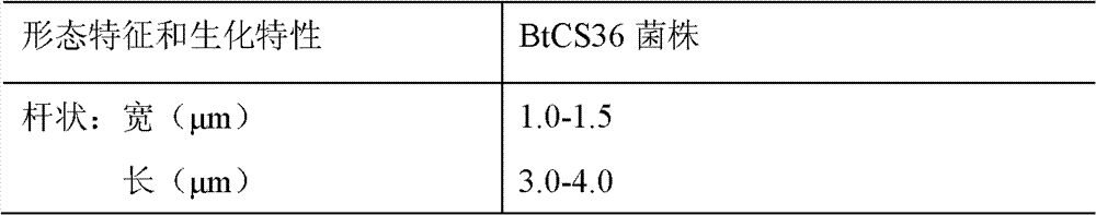 Bacillus thuringiensis, as well as preparation method and application thereof