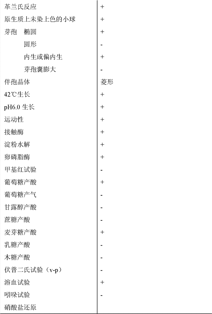 Bacillus thuringiensis, as well as preparation method and application thereof