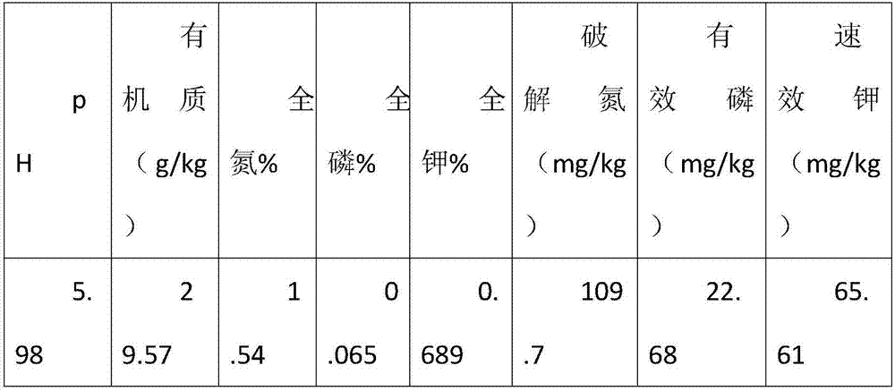 Watermelon chelate fertilizer