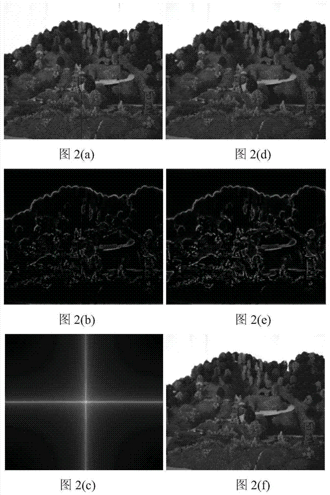 Low-light Video Denoising Method Based on Phase Consistency and Scene Motion Estimation