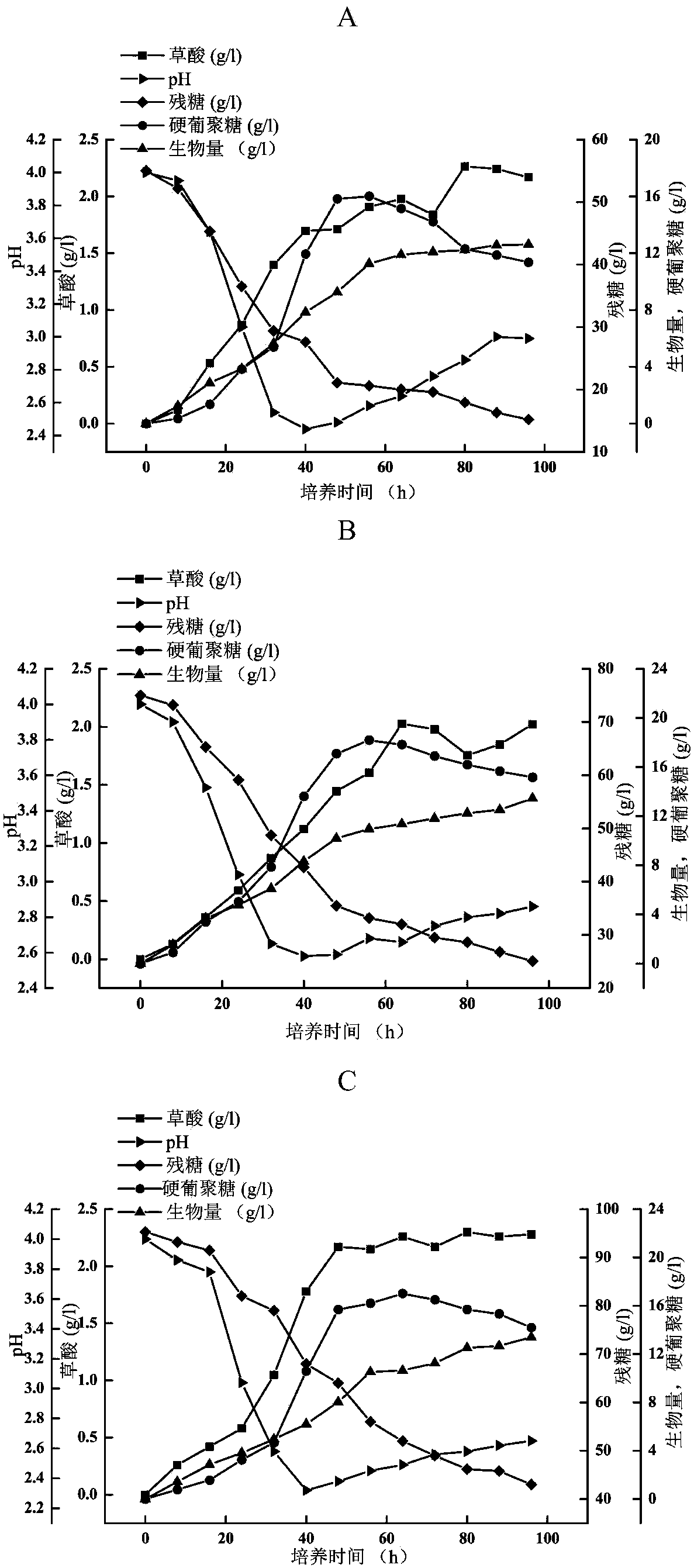 (Sclerotium rolfsii)WSH-G01 and method for producing scleroglucan by fermenting (Sclerotium rolfsii)WSH-G01