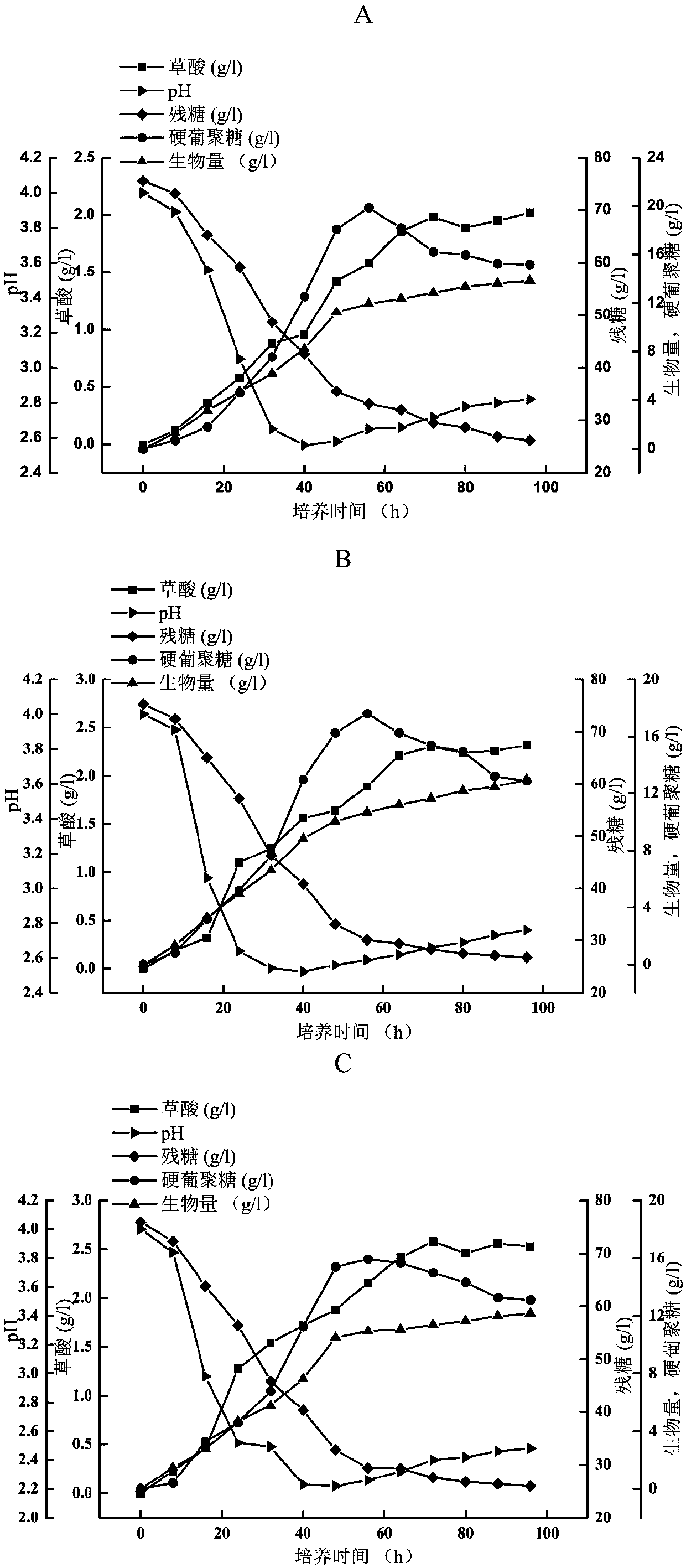 (Sclerotium rolfsii)WSH-G01 and method for producing scleroglucan by fermenting (Sclerotium rolfsii)WSH-G01