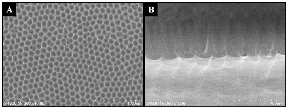 Metal nanocrystalline interface carbon base material super assembly controllable growth method