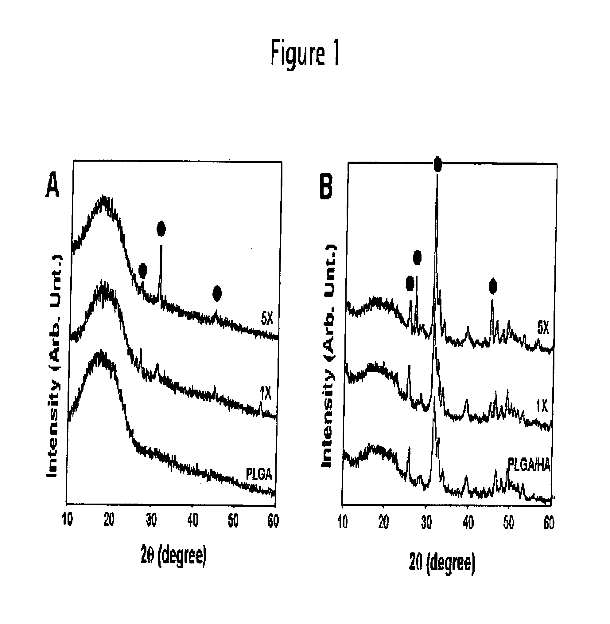 PLGA/hydroxyapatite composite biomaterial and method of making the same