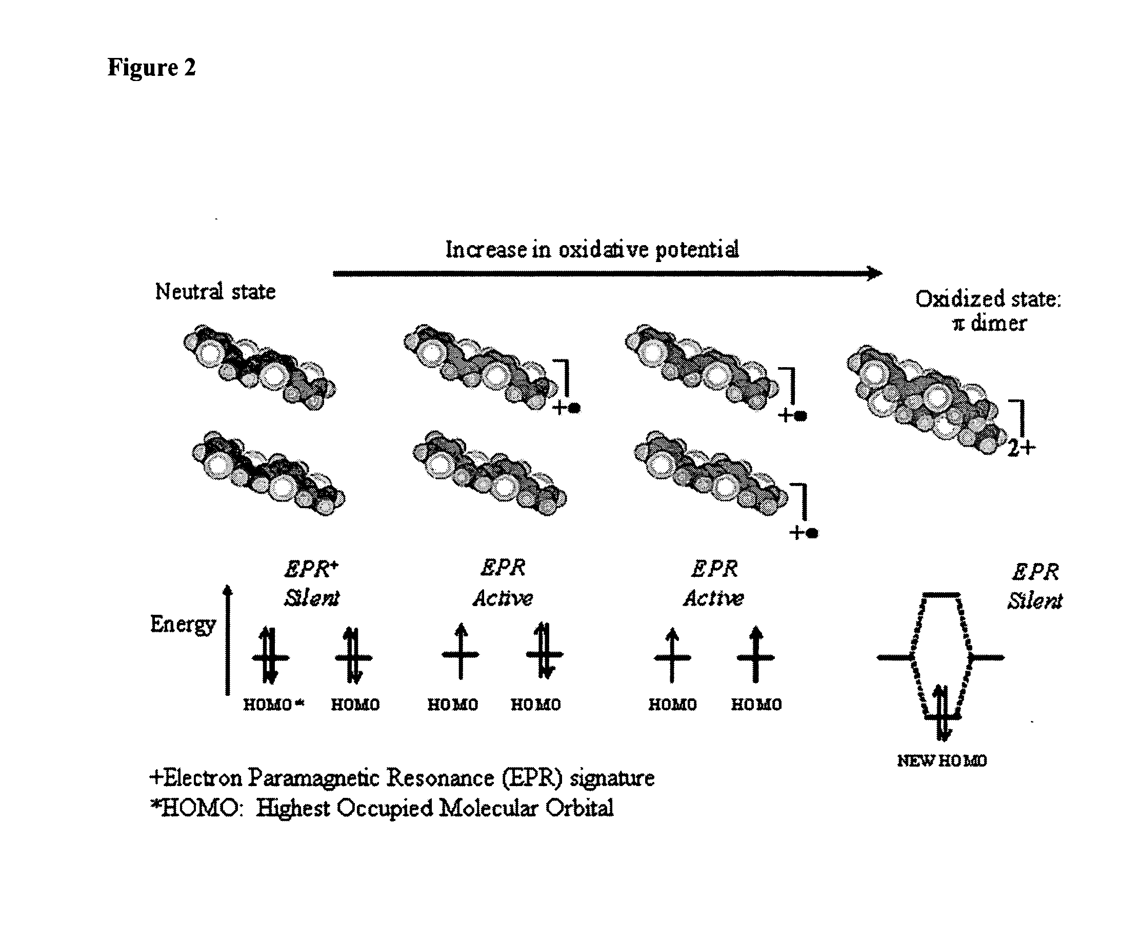 Molecular actuators, and methods of use thereof