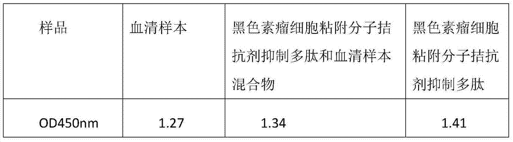 Melanoma cell adhesion molecule antagonist polypeptide and application thereof