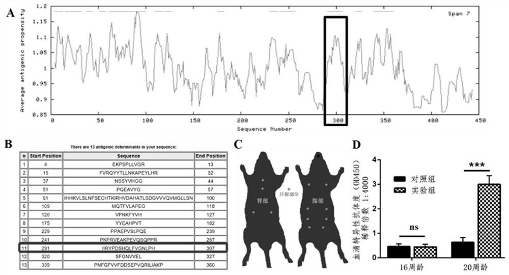 A kind of g3bp2 polypeptide vaccine and its application