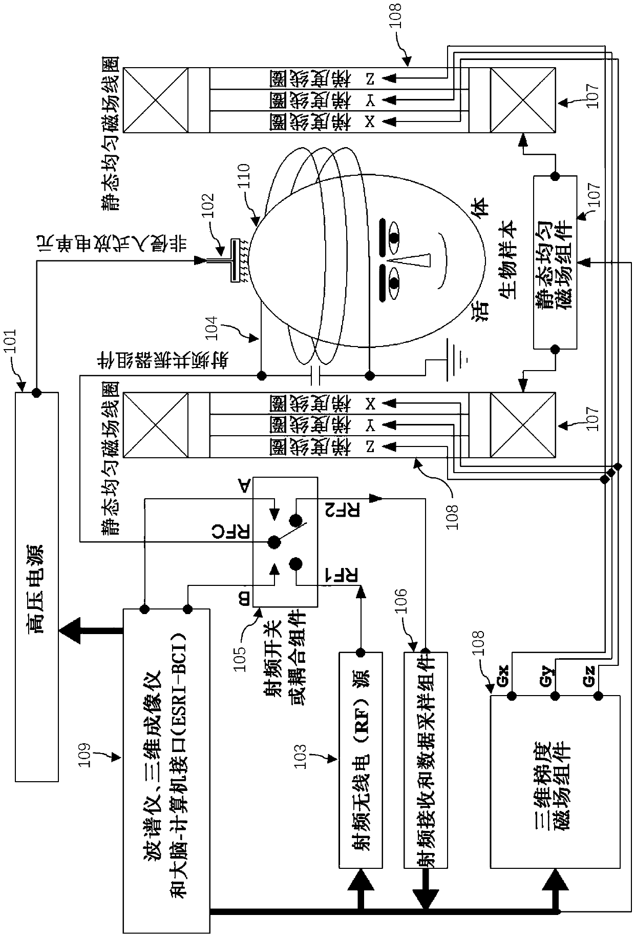 Non-invasive living electron spin resonance method and system