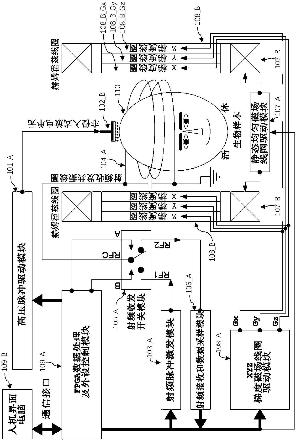 Non-invasive living electron spin resonance method and system