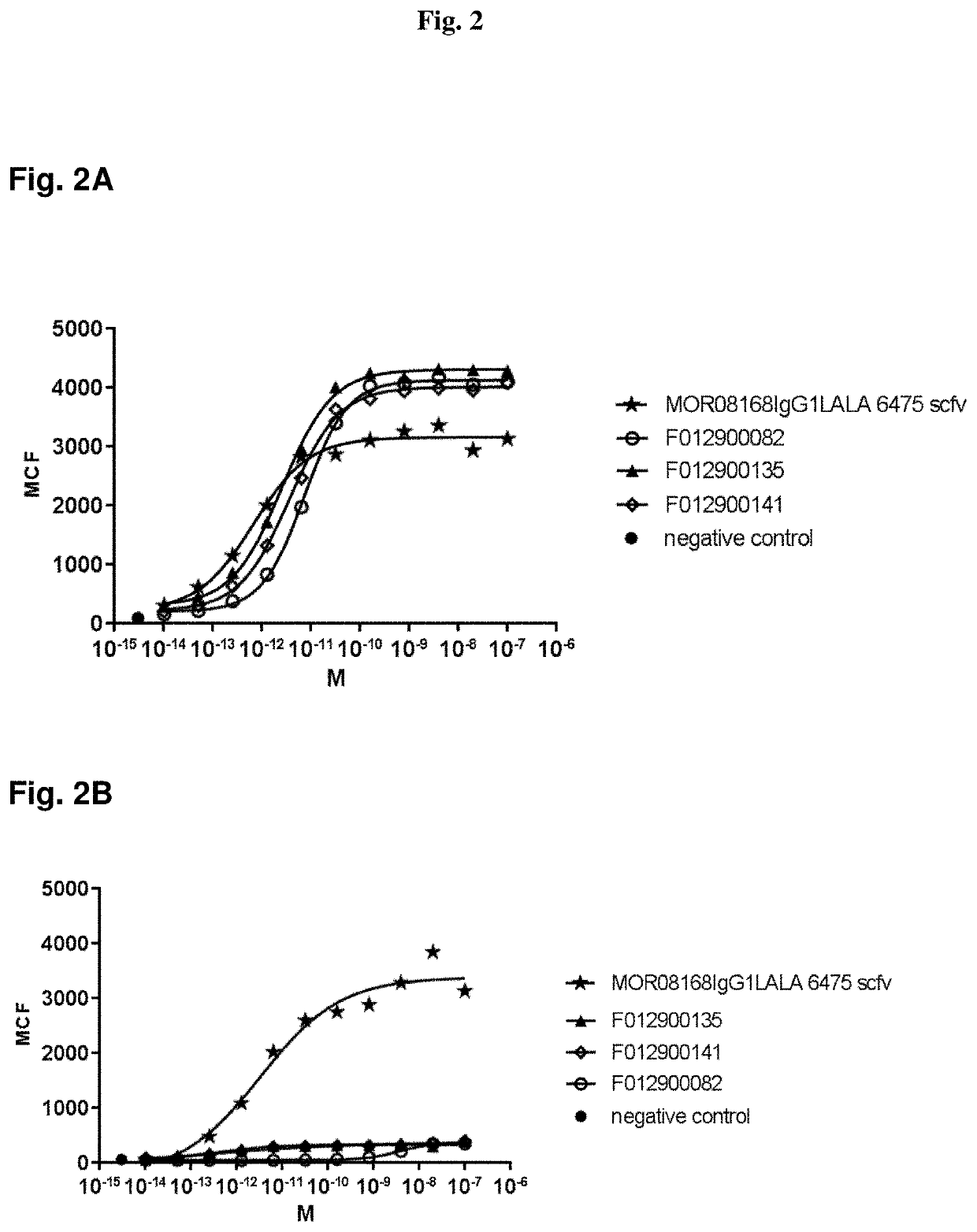 Polypeptides antagonizing Wnt signaling in tumor cells