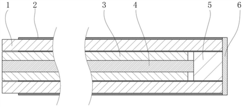 Vascular endoscope