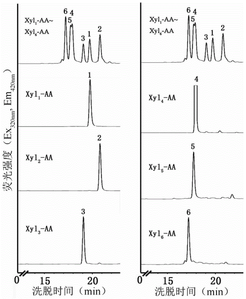 A method for detecting the activity of β-1,4-xylosyltransferase in xylan synthesis by HPLC