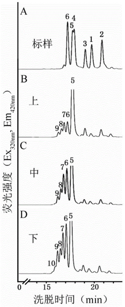 A method for detecting the activity of β-1,4-xylosyltransferase in xylan synthesis by HPLC