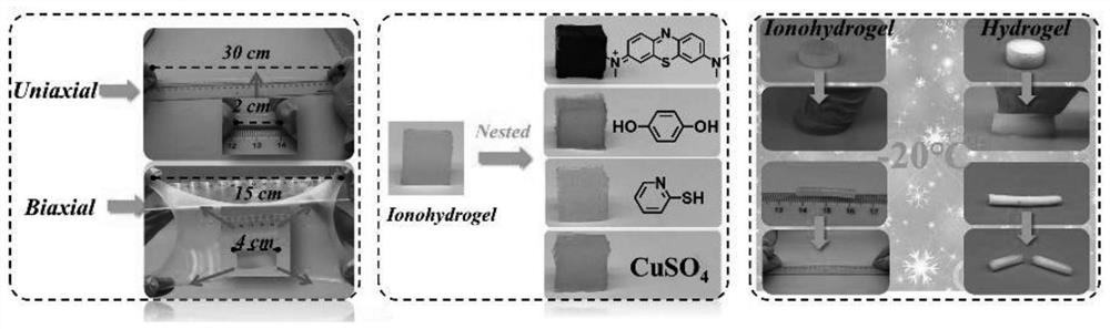 A kind of imitation ant nest hydration ionic liquid gel platform and its preparation method and application