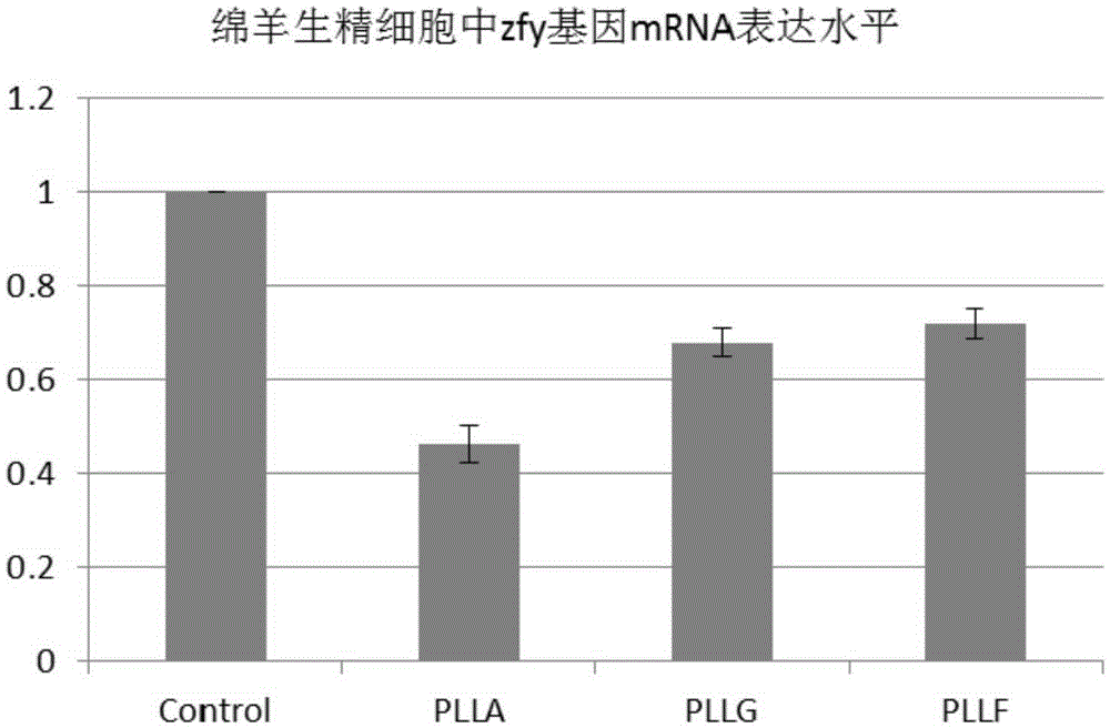 RNAi fragment, RNAi vector, preparation method and application of RNAi vector