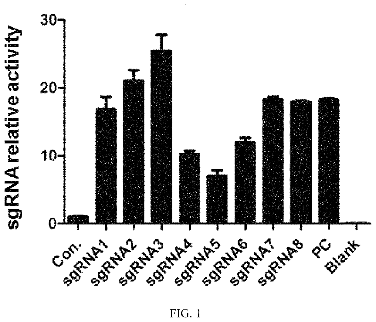Genetically modified mice expressing humanized PD-1