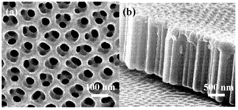 Method for performing photoelectrolysis of water and preparing hydrogen by using palladium quantum dot modified titanium dioxide nanotube array