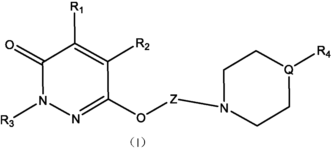 Synthesis of phenylpyridazinone derivative and application thereof