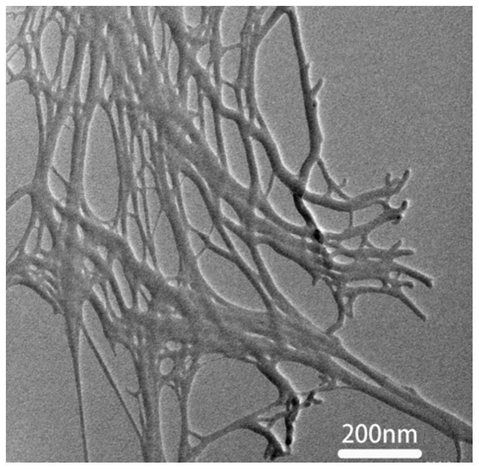 Preparation method of 3D reticular high-crystallinity walnut shell-based nanocellulose