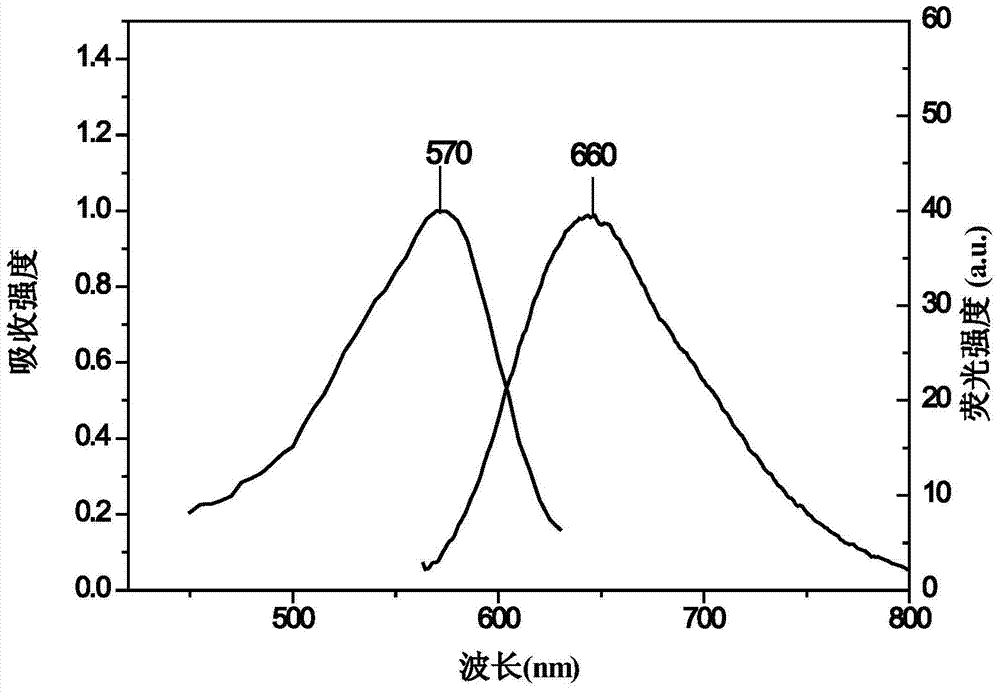 Novel rhodafluor fluorescent dye with characteristics of large stokes shift and near-infrared fluorescence emitting, and synthesis method thereof