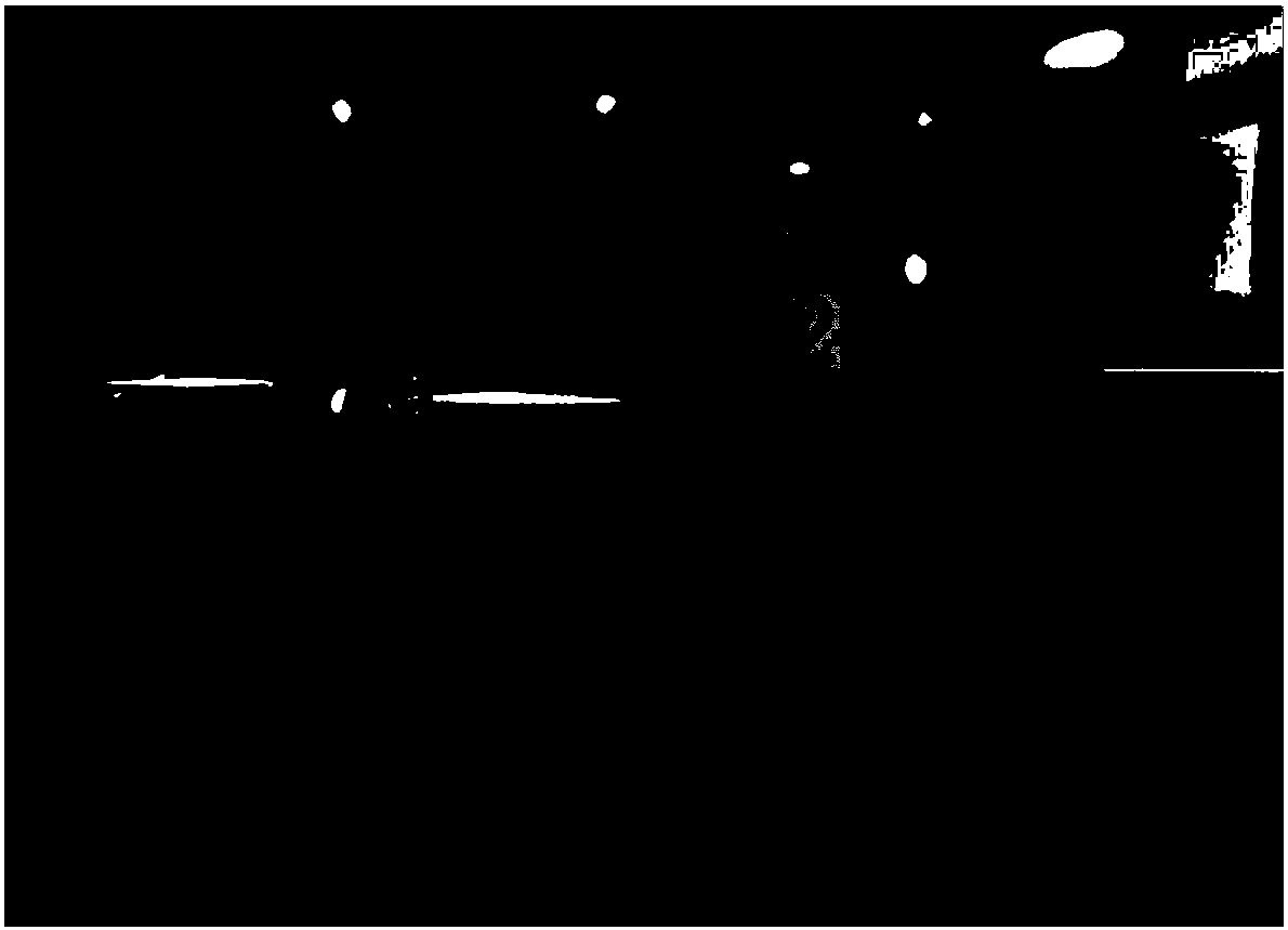 Treatment method of surface of oxygen-free copper