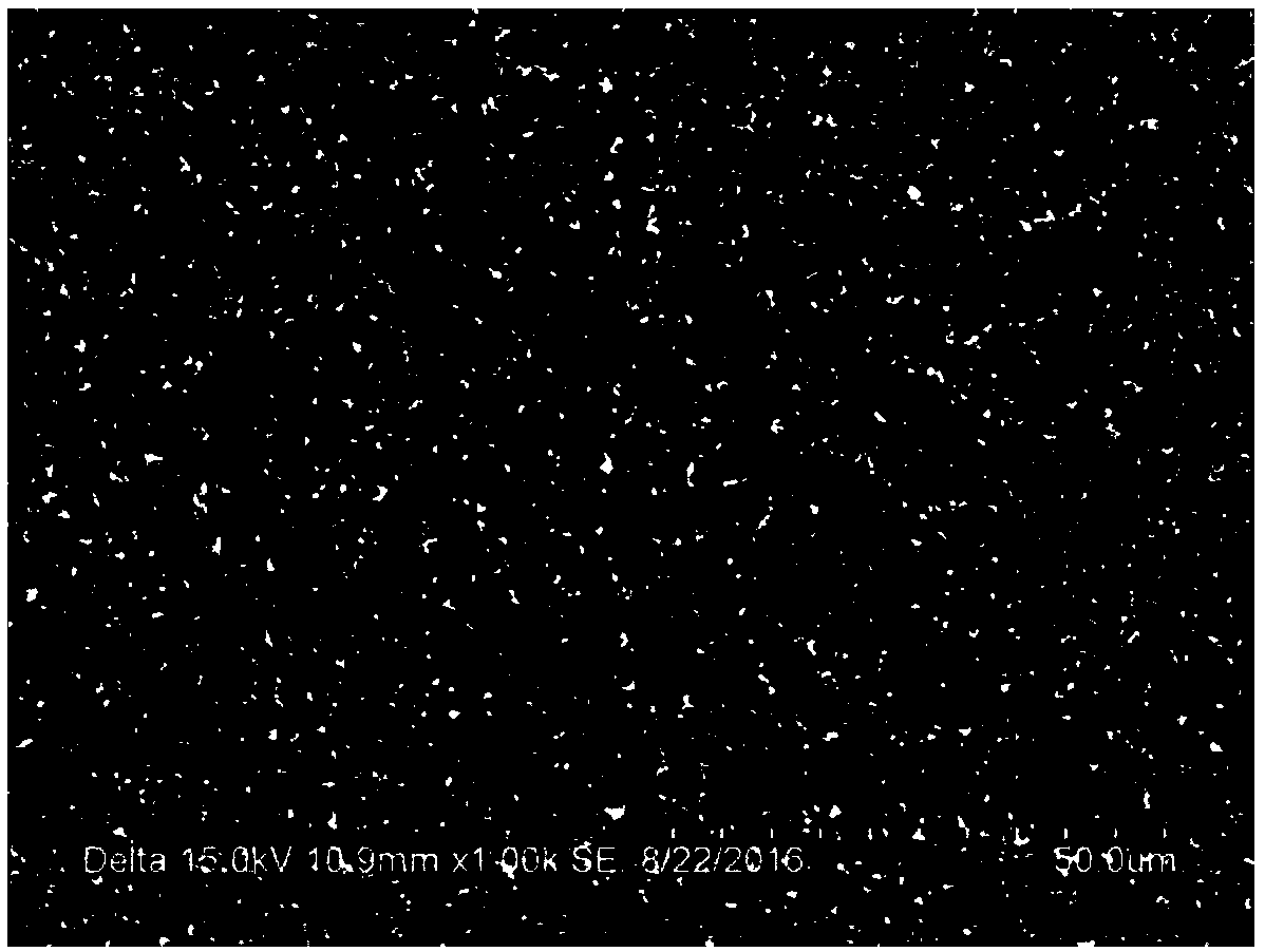 Treatment method of surface of oxygen-free copper