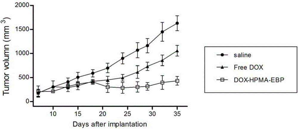 Tumor-targeted polypeptide-anthracycline derivative