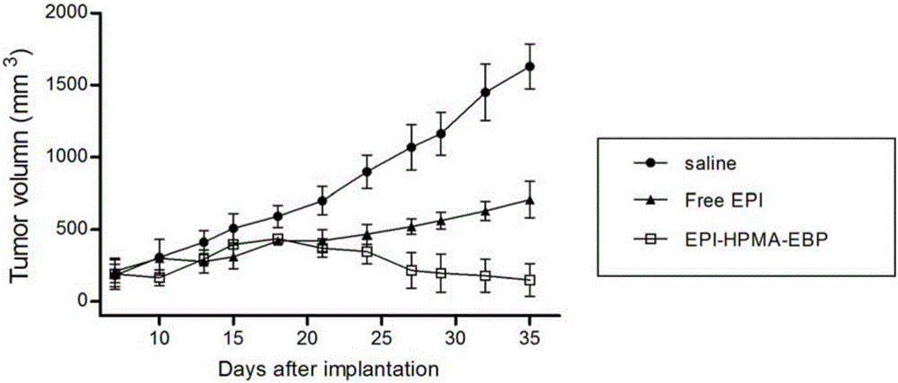 Tumor-targeted polypeptide-anthracycline derivative