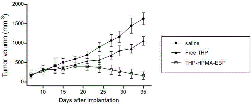 Tumor-targeted polypeptide-anthracycline derivative