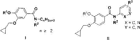 3‑cyclopropylmethoxy‑4‑alkoxybenzamide phosphodiesterase 4 inhibitor