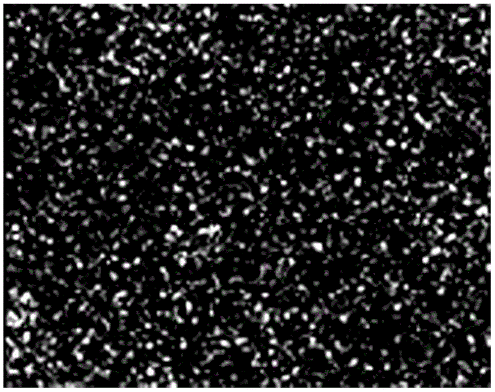 A kind of preparation method of carbon-coated mesoporous lithium titanium phosphate