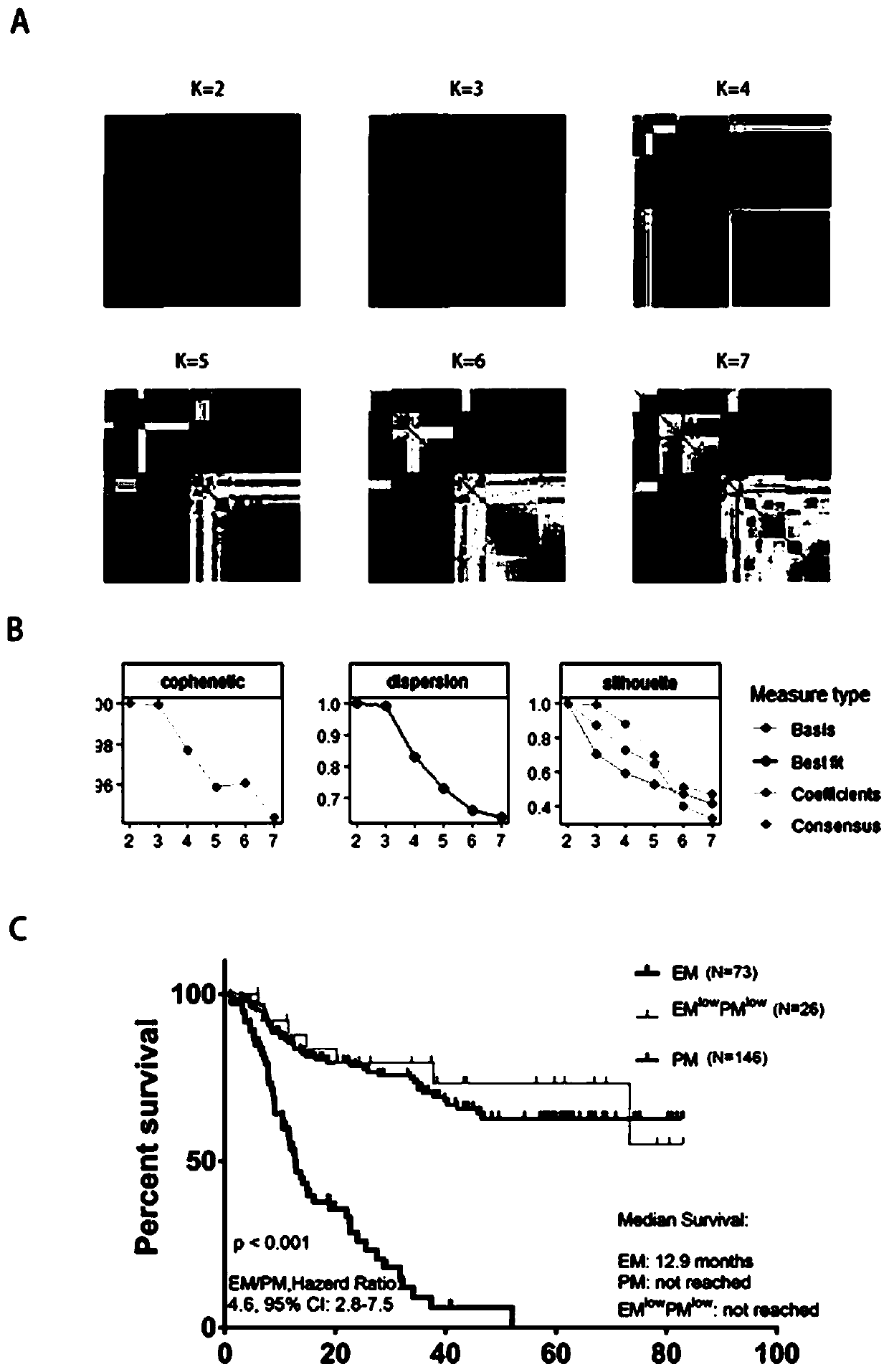 Glioma EM/PM molecular typing method based on Taqman low-density chip and application of glioma EM/PM molecular typing method