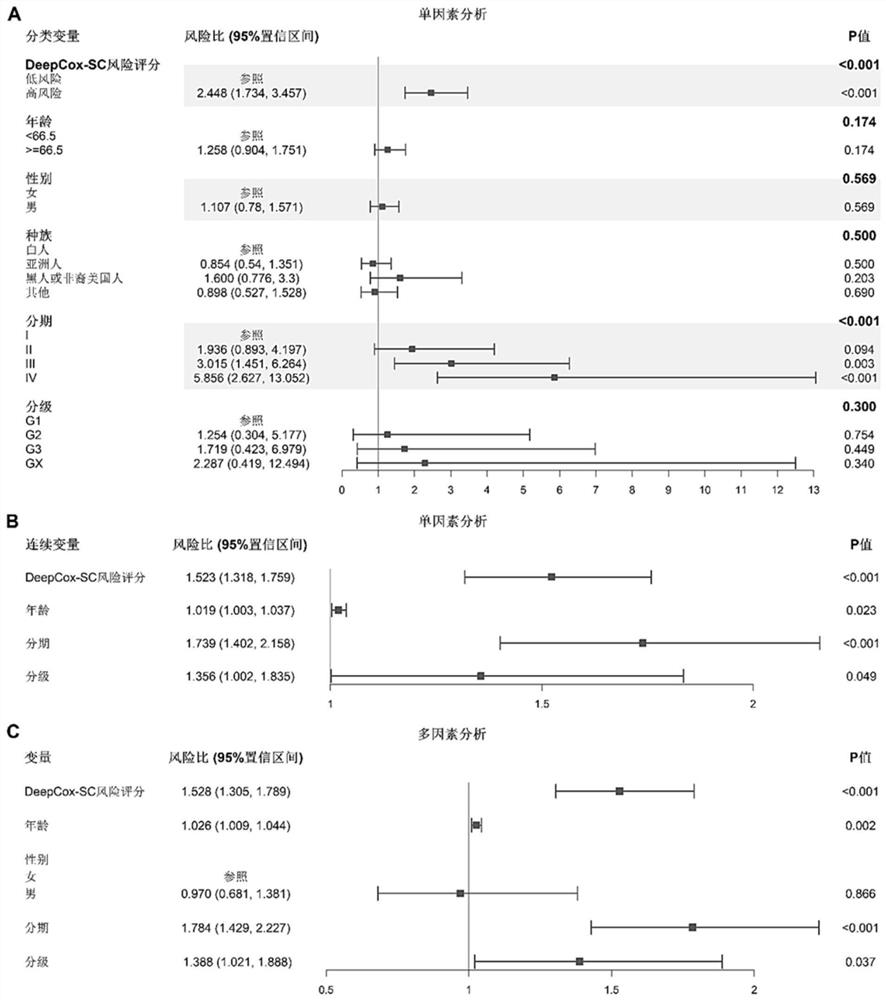 Stomach cancer patient survival risk prediction method based on histopathology image and gene expression data