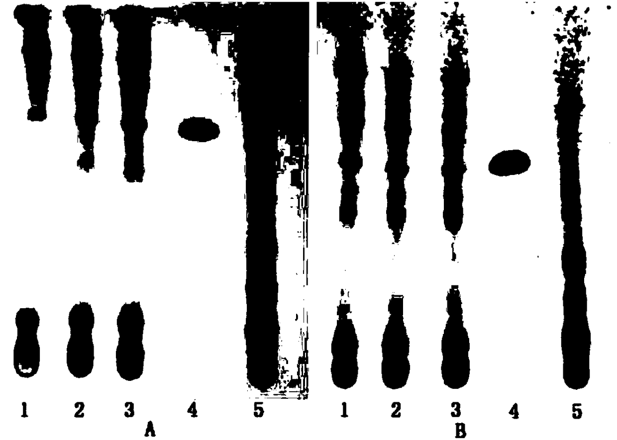 The identification method of Xishencao in Fengshining medicinal wine