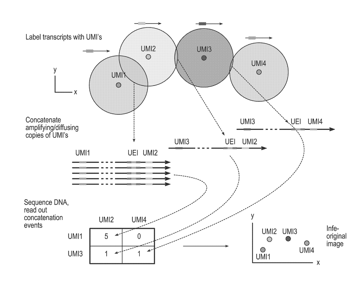 DNA microscopy