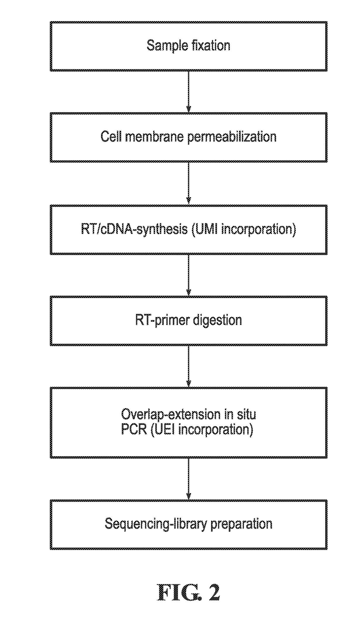 DNA microscopy