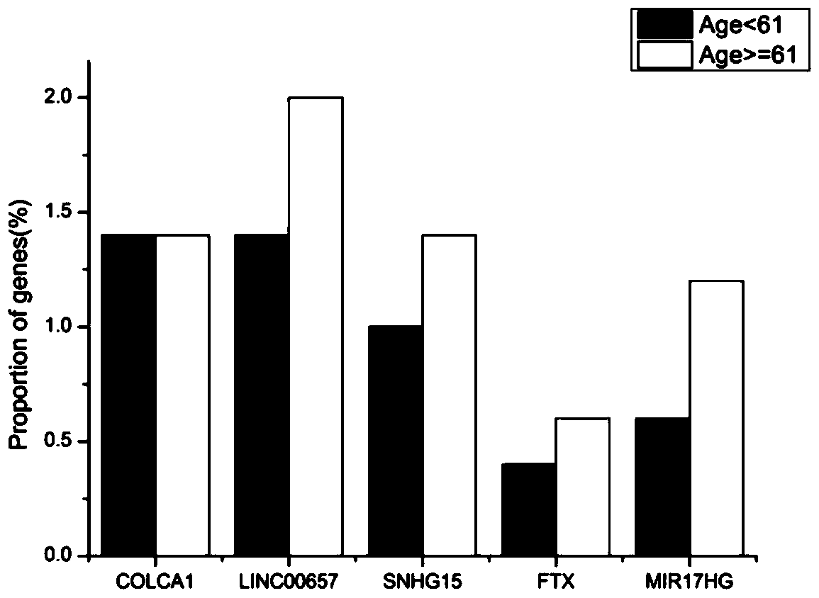 A kind of lncrna and its application as prostate cancer detection marker or prostate cancer prognosis recurrence marker