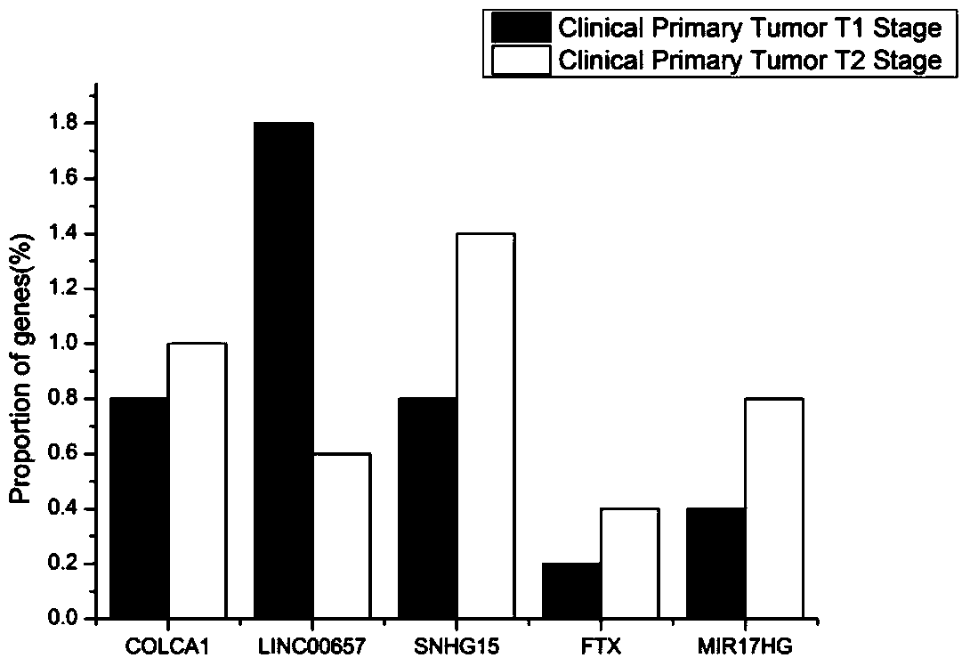 A kind of lncrna and its application as prostate cancer detection marker or prostate cancer prognosis recurrence marker