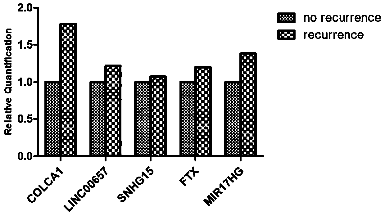 A kind of lncrna and its application as prostate cancer detection marker or prostate cancer prognosis recurrence marker