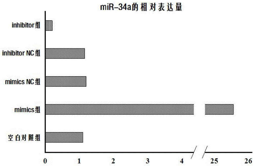 Application of miR-34a and target gene NOTCH1 to preparation of mesenchymal stem cell based glioma targeting carrier