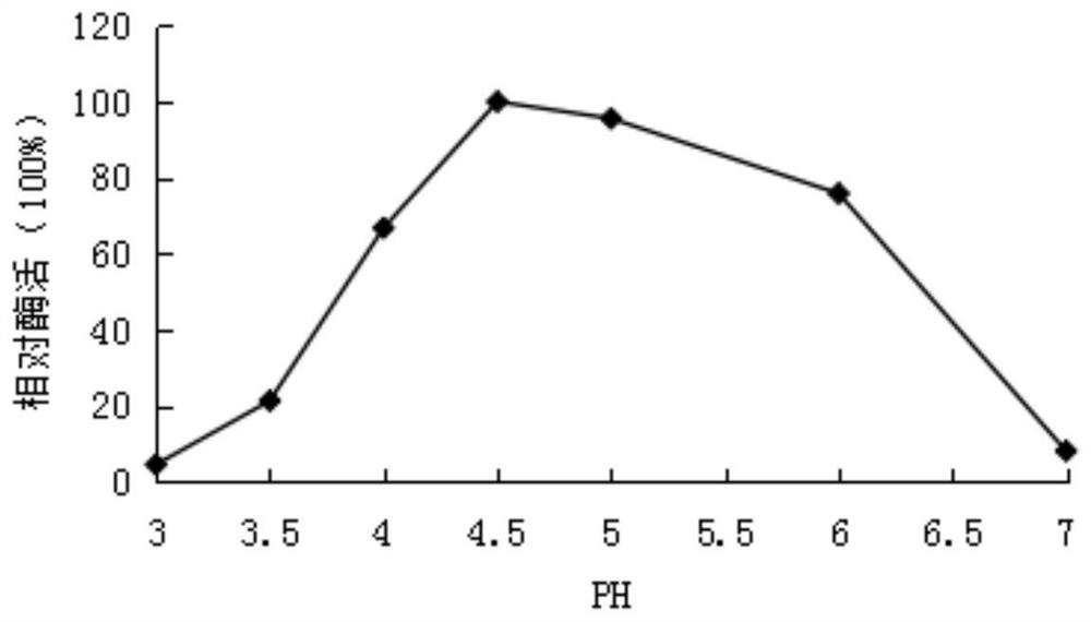 A kind of amylase tlamy5 derived from fungus and its gene and application