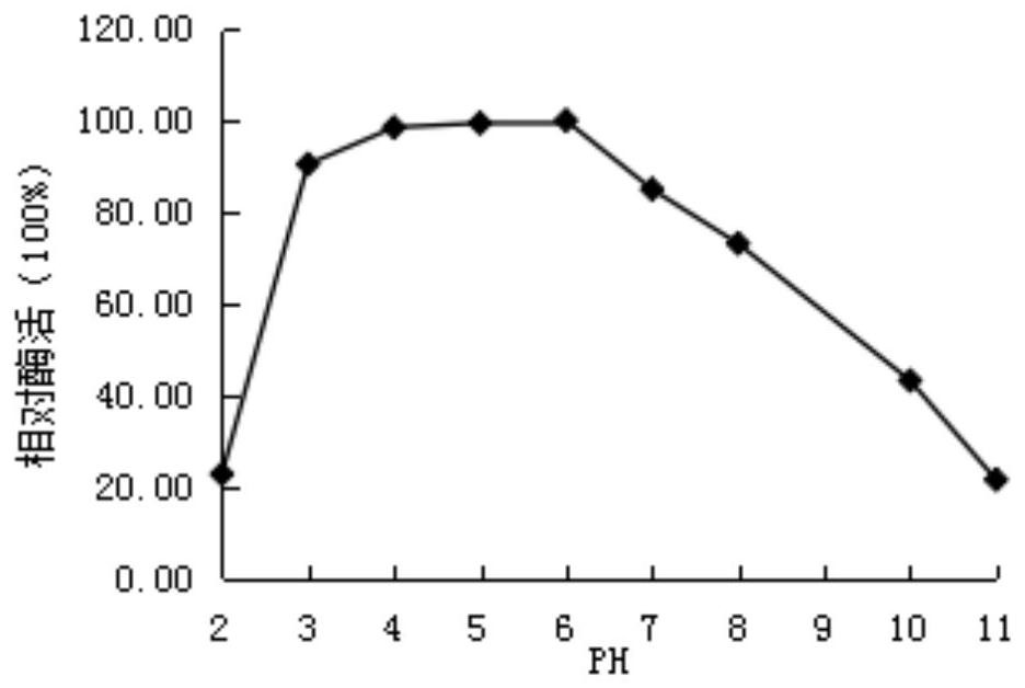 A kind of amylase tlamy5 derived from fungus and its gene and application