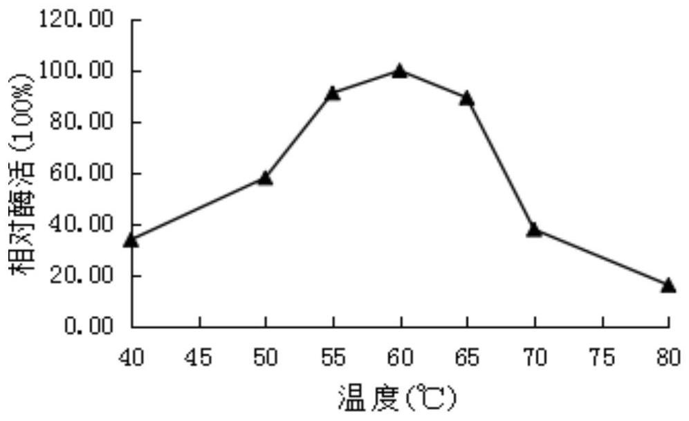 A kind of amylase tlamy5 derived from fungus and its gene and application